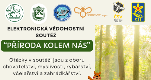 Snímek obrazovky 2026-03-03 092239.png